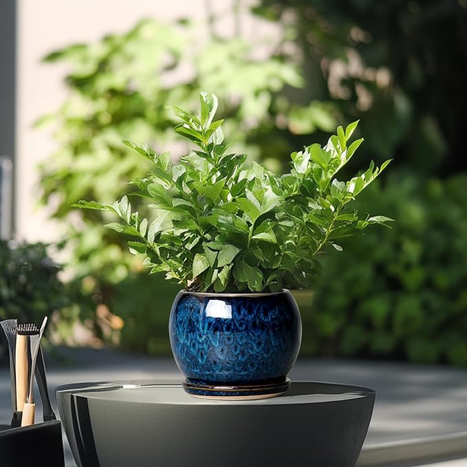 SQOWL 6 Inch Plant Pot - Image 4