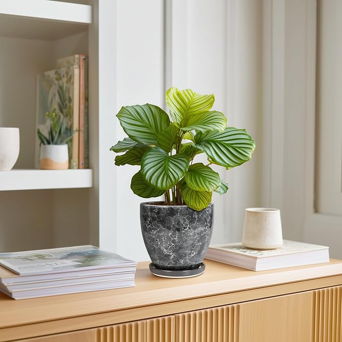 Ceramic Pots for Plants - Image 3
