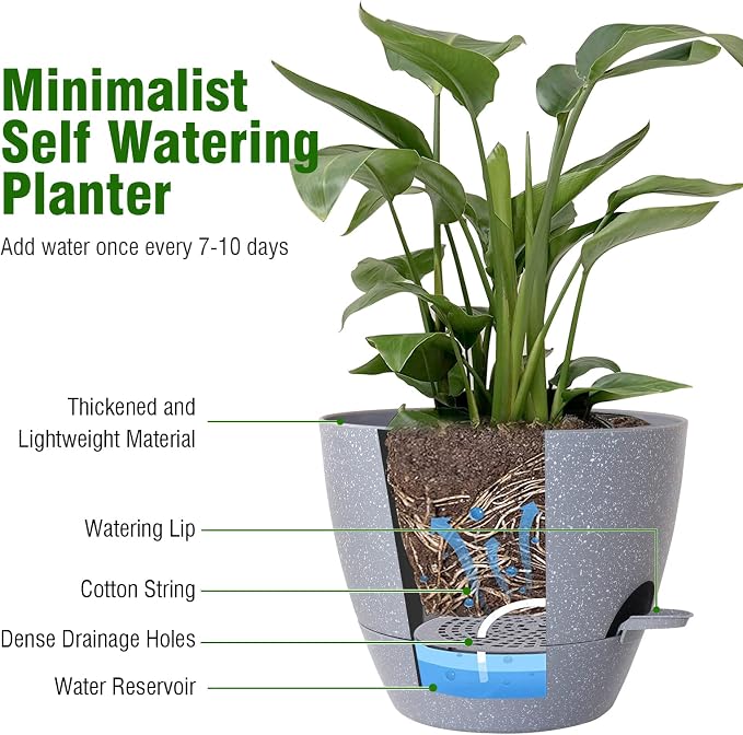 10 inch Self Watering Pots, Plant Pots - Image 5