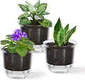 Self Watering Pots, 3 Pack 4 Inch Clear Plant Pot Self Watering Planter Flowers by IWNTWY