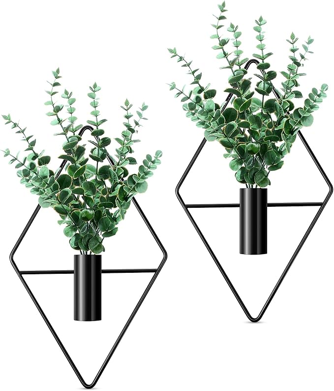 2 Pieces Wall Decor Hanging Planters by Canlierr