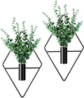 2 Pieces Wall Decor Hanging Planters by Canlierr