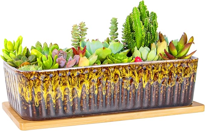 Succulent Pots - 12 Inch Large Succulent Planters by ARTKETTY