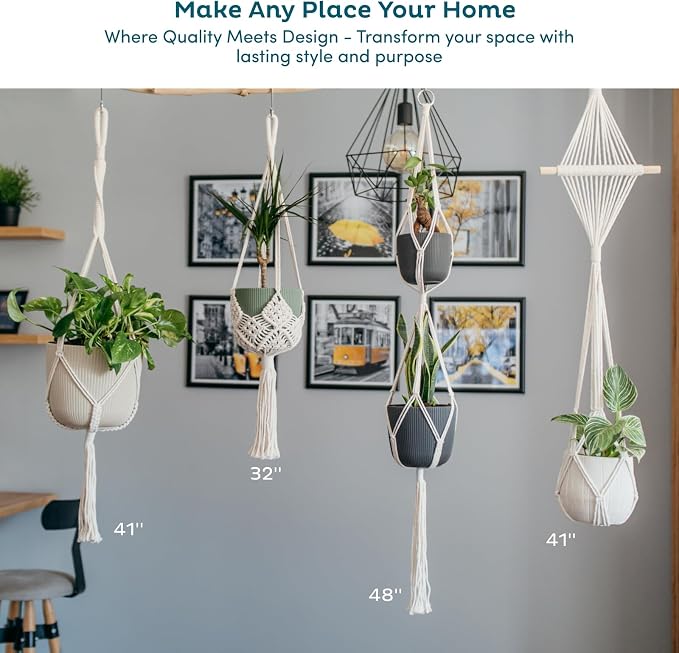 Nook Theory 6-Pack Macrame Plant Hangers - Image 7
