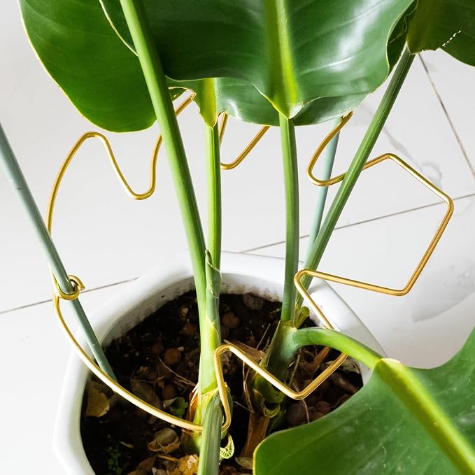 5PCS Monstera Plant Stem Support - Image 7