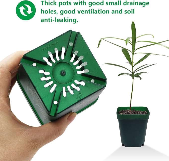 Square Nursery Seedling Pot 3.5 Inches 90 Pcs, Small Nursery Pot Plastic Thick - Image 5