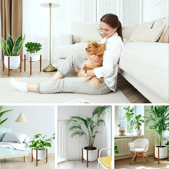 Airpark Plant Stand Indoor Adjustable, Metal Modern Plant Stand, Heavy Duty - Image 5