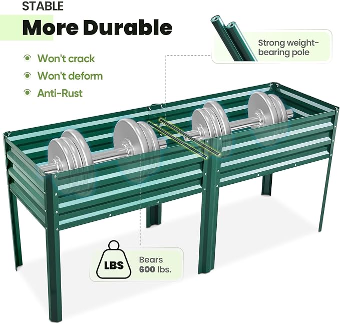 KING BIRD Raised Garden Bed - Image 3