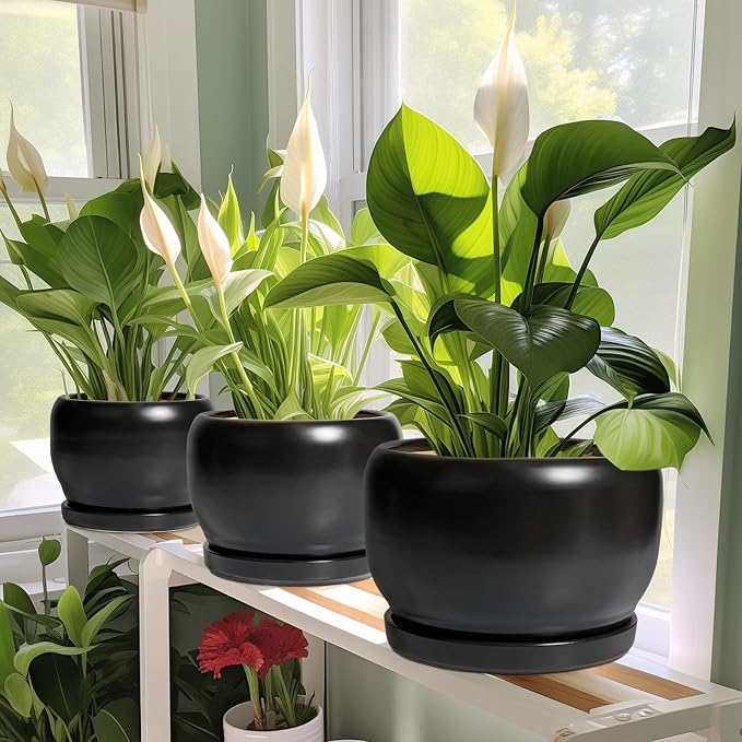 SQOWL Ceramic Plant Pot - Image 5
