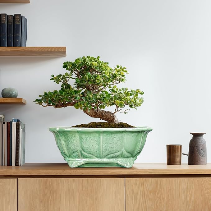 Bonsai Tree Pot - Image 8