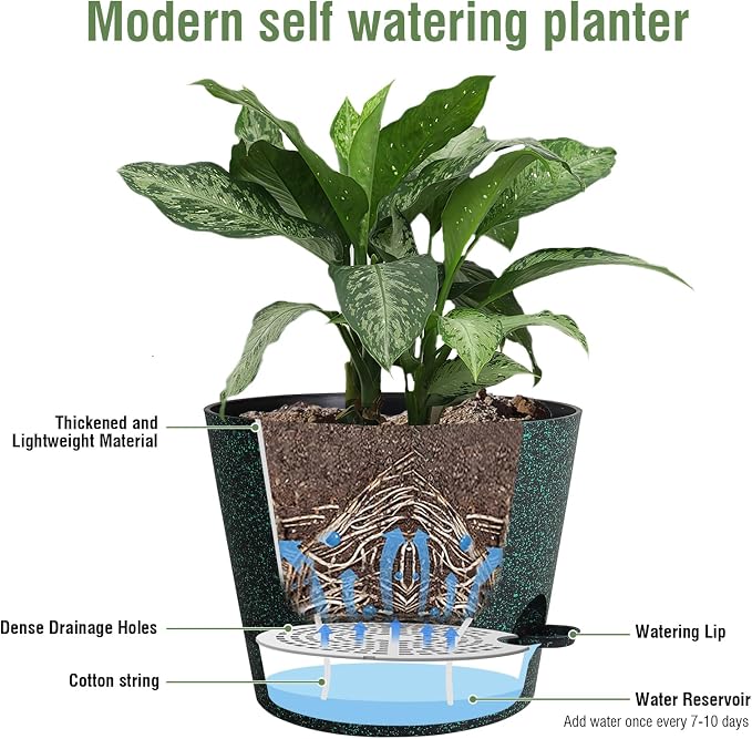 12 inch Large Self Watering Pots - Image 4