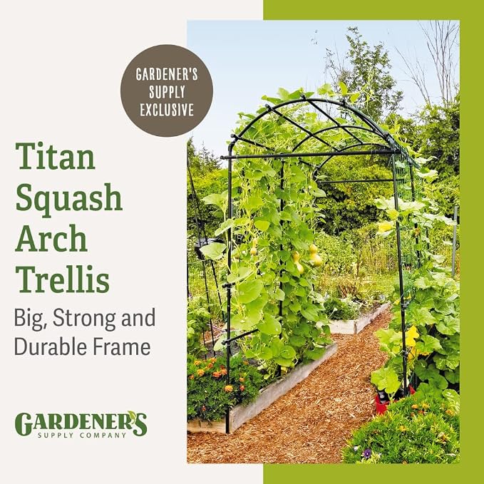 Gardener’s Supply Company Extra Tall Garden Arch Arbor | 80 Inch Tall Titan - Image 2