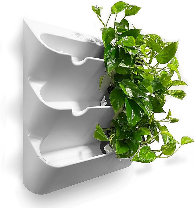 BOXSAND-12 Vertical Wall Planter - Image 2