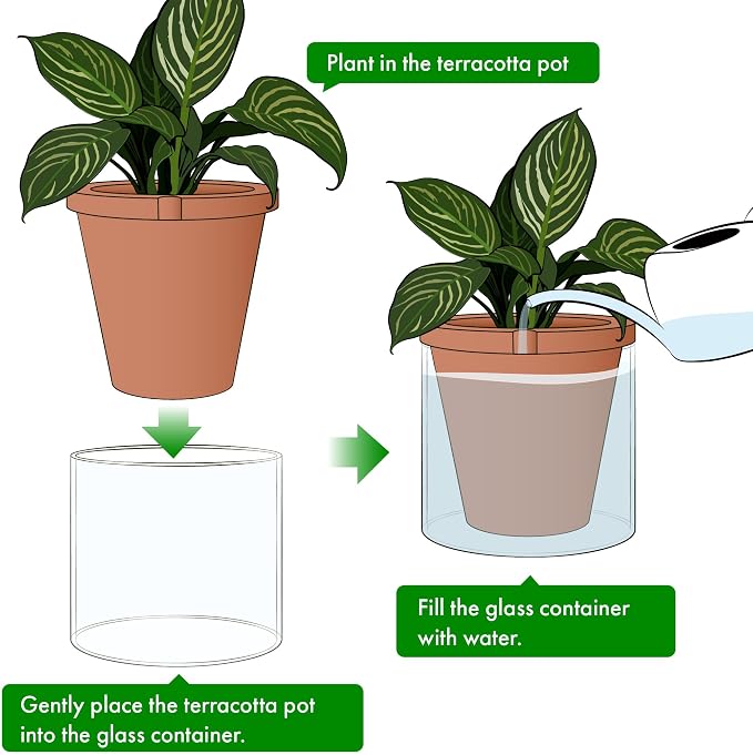D'vine Dev 10 Inch Design Self Watering Pot - Image 4