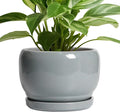 SQOWL Ceramic Pot for Plants by SQOWL