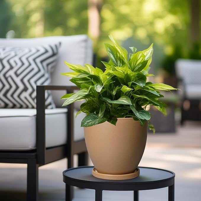Ceramic Pots for Plants - Image 5