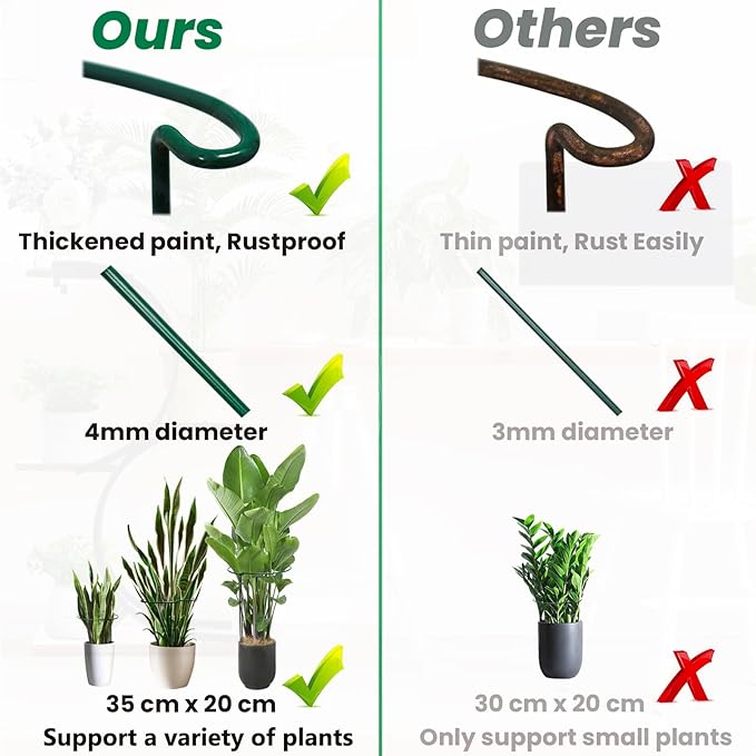 Snake Plant Support Stake - Image 6
