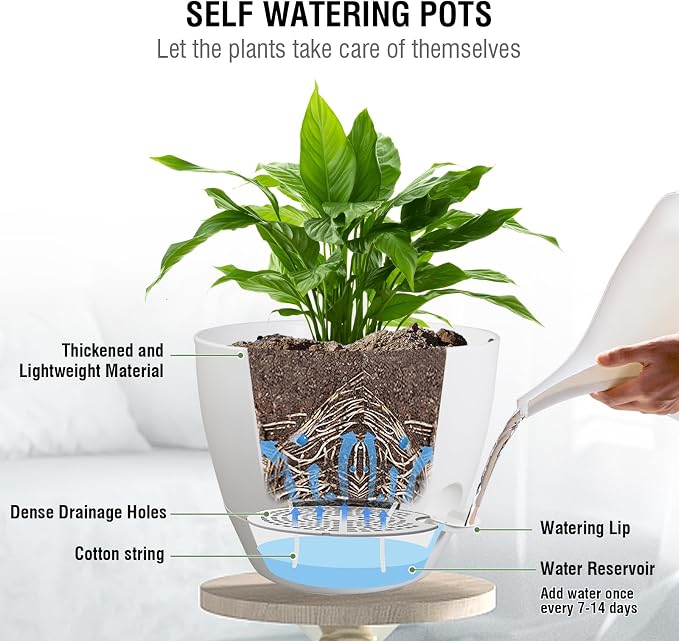 10 inch Self Watering Hanging Planters, 2 Pack Hanging Flower Pots - Image 2