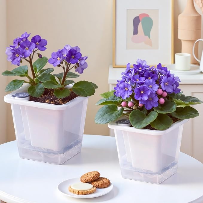 FAMZ Self Watering Pots for Indoor Plants 3 Pack，Clear Plant Pots - Image 5