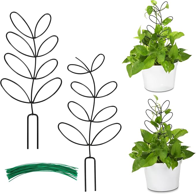 AUGSUN 2 Packs Indoor Plant Trellis Garden Trellis by AUGSUN