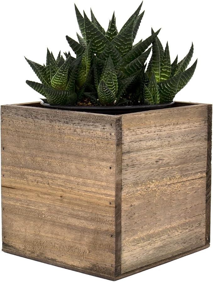 CYS EXCEL Cube Planter Box - Image 4