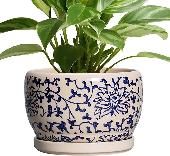 SQOWL Ceramic Planters for Indoor Plants by SQOWL