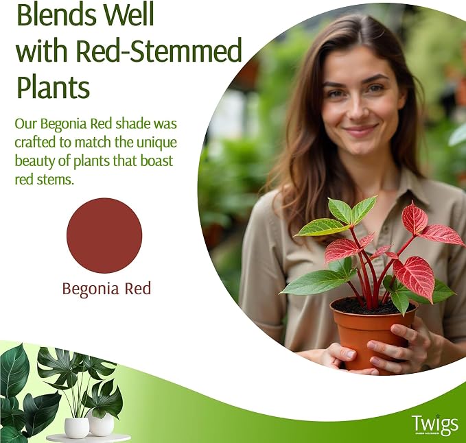Mini Twigs Plant Support Stakes - Image 4