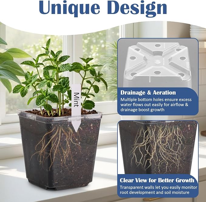 5.5 Inch Clear Square Nursery Pots - Image 2