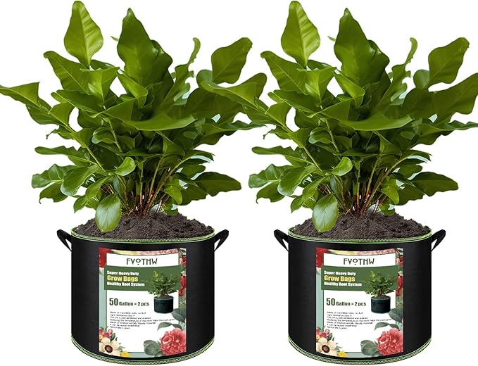 2-Pack 50 Gallon Plant Grow Bags, Thickened Nonwoven Fabric Pots by FVOTNW