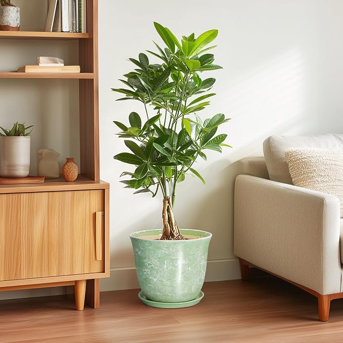 Ceramic Pots for Plants - Image 4