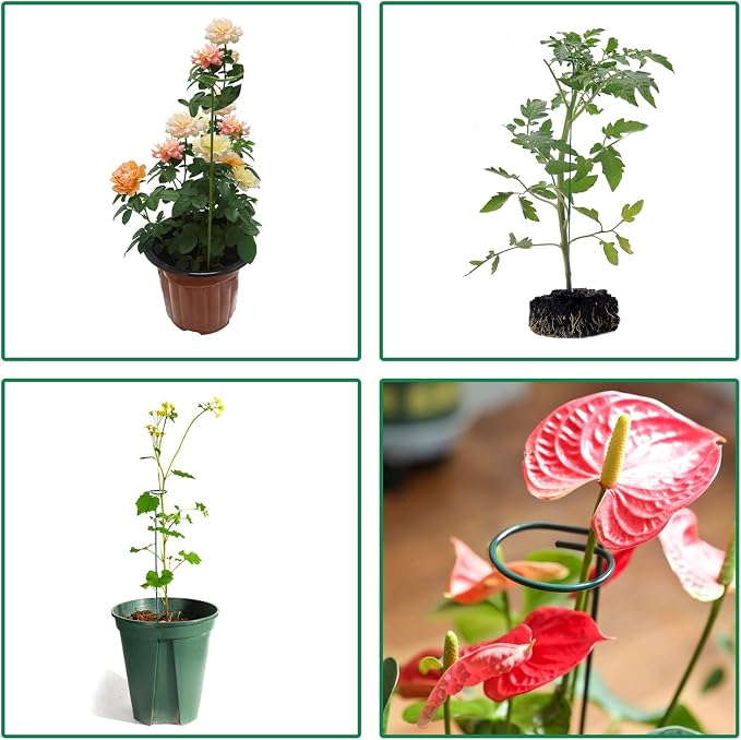 4 Pack Plant Stakes, Plant Support Stakes - Image 5