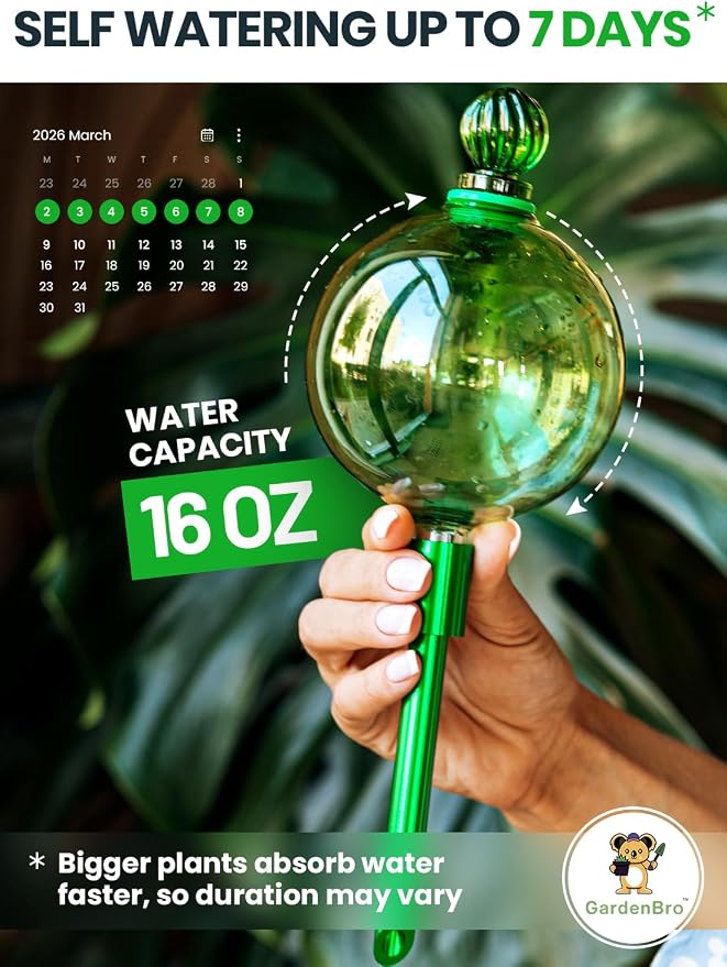 16 Oz Plant Watering Globes for Indoor Plants - Image 2