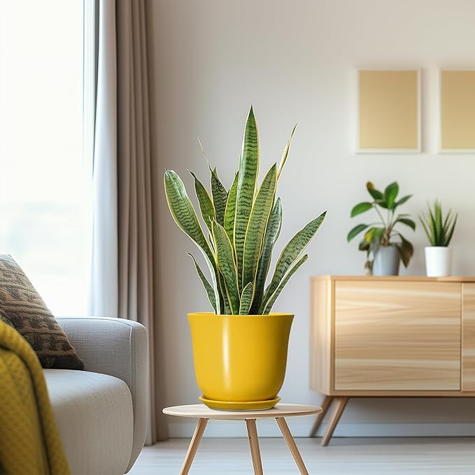 Ceramic Pots for Plants - Image 5