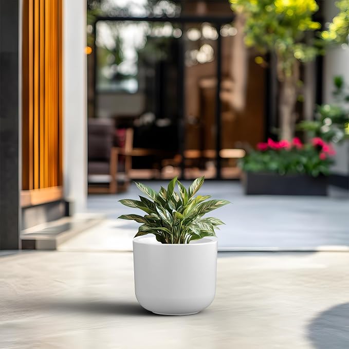 Kante Round Concrete Planter, 11 Inch Dia Classic Style Large Plant Pot - Image 3