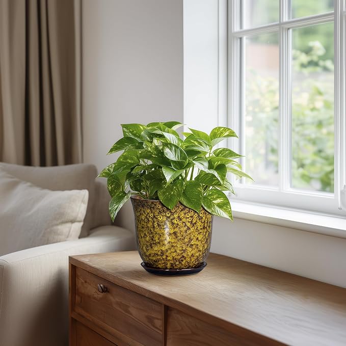 Ceramic Plant Pots - Image 5
