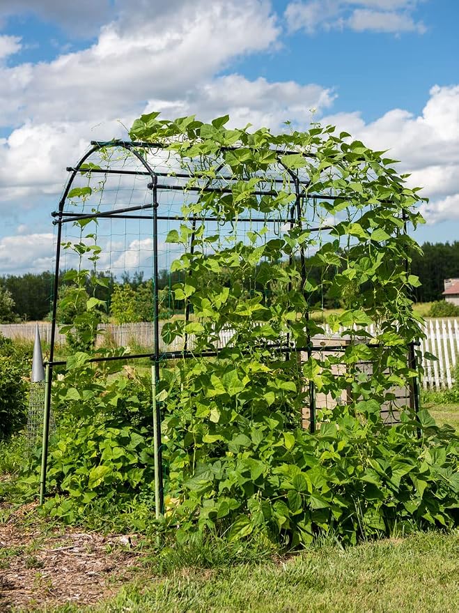 Gardener’s Supply Company Extra Tall Garden Arch Arbor | 80 Inch Tall Titan - Image 7