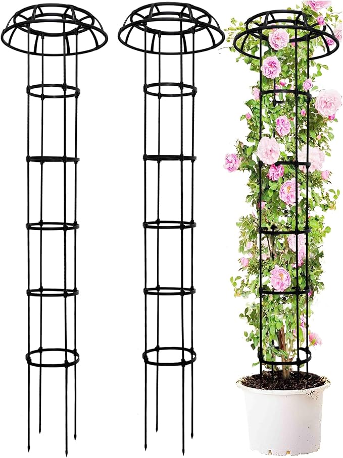 2-Pack 77-Inch Garden Trellis for Climbing Plants, Heavy-Duty Metal Obelisk by TCBWFY