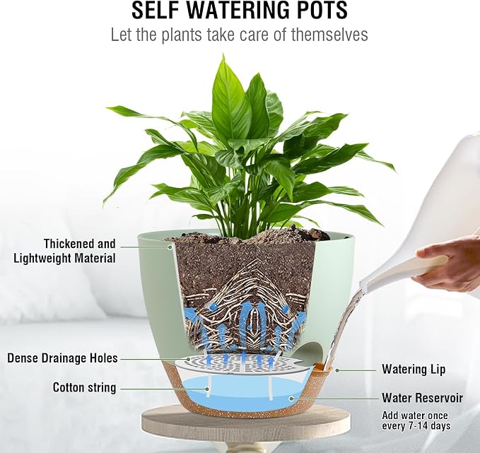 10 inch Self Watering Hanging Planters - Image 2
