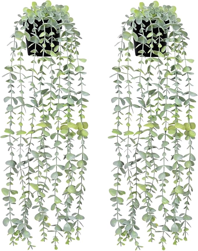 Waipfaru 2Pcs Fake Hanging Plants by Waipfaru