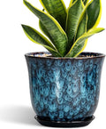8 Inch Plant Pot by SUNPOTFOR