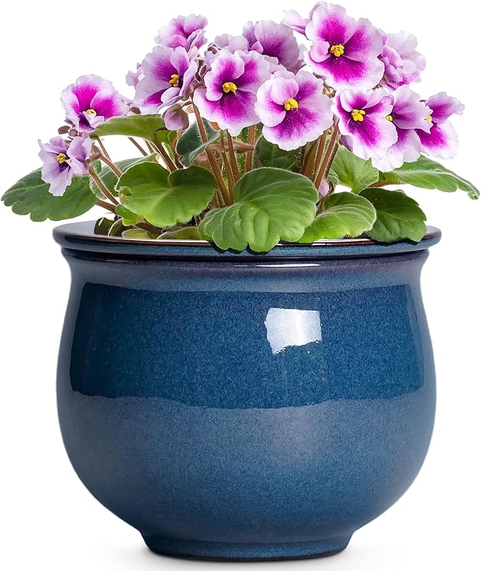 African Violet Pots, 6 Inch Ceramic Easy Self Watering Pots by Teagas