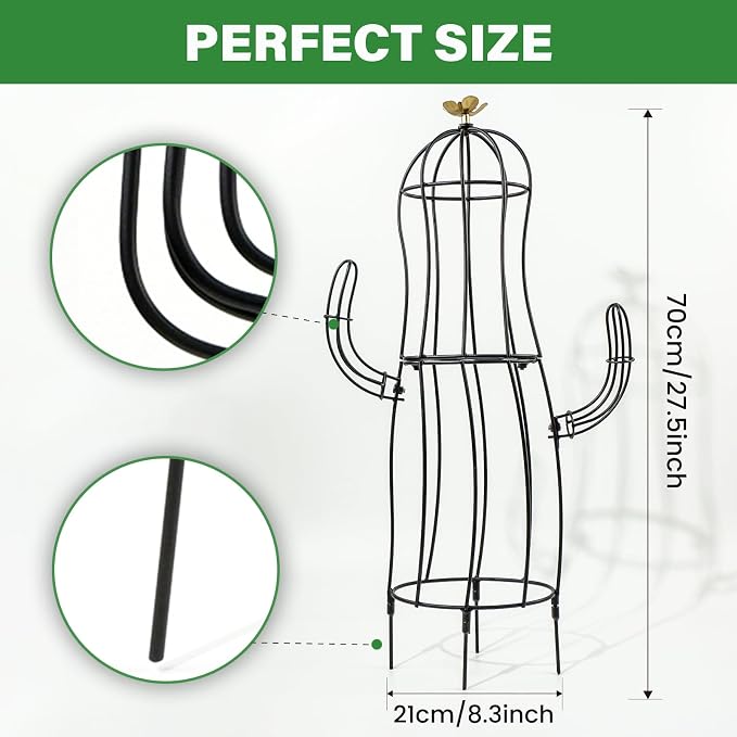 Cactus Obelisk Trellis - Image 2