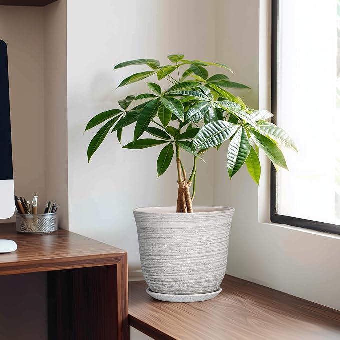 Ceramic Plant Pots - Image 3