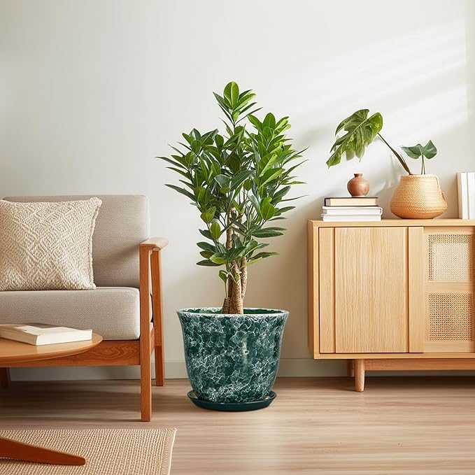Ceramic Planter - Image 7