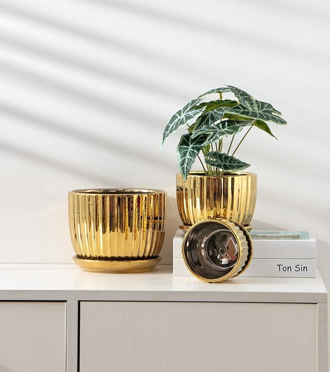 Ton Sin Gold Plant Pots, 4.1+5.1+6.5 Inch Ceramic Succulent Planters Set of 3 - Image 7