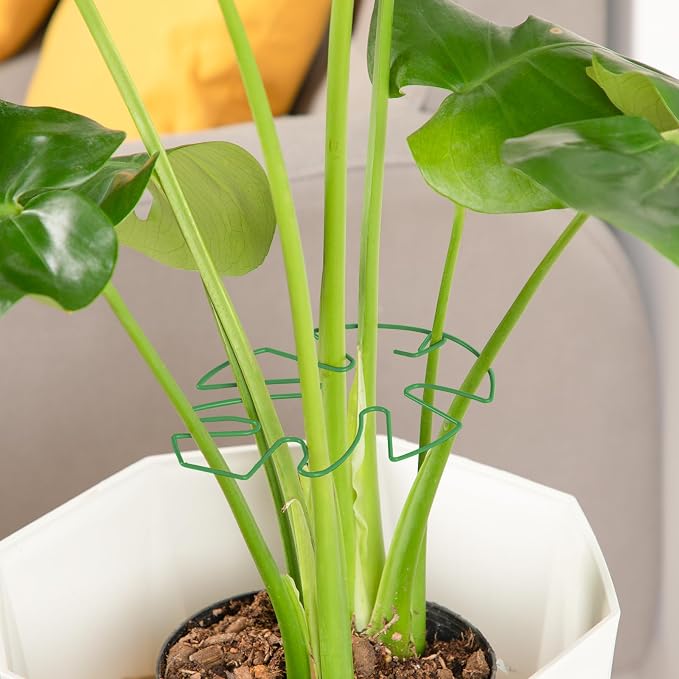 10PCS Iron Monstera Plant Support, Uniquely Designed Indoor Plant Accessories - Image 6
