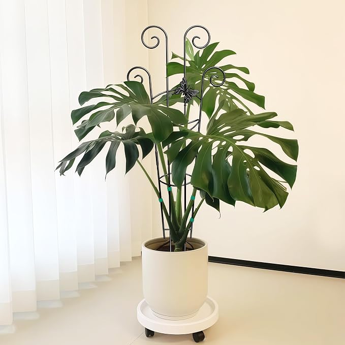 Coomin 32.6in Monstera Plant Support - Image 9