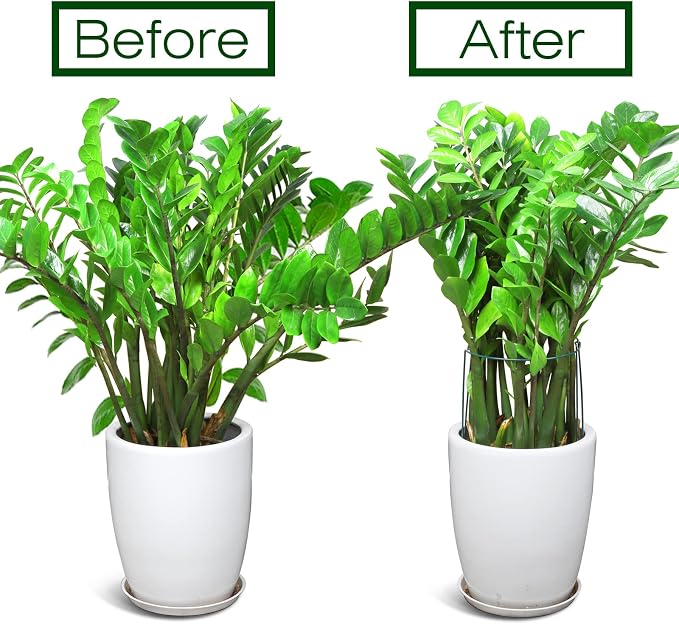 LEOBRO Plant Support Stakes, Plant Support, Peony Cages and Supports, Garden - Image 6