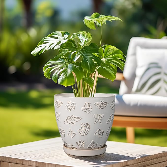 Ceramic Planter 8 Inch - Image 4