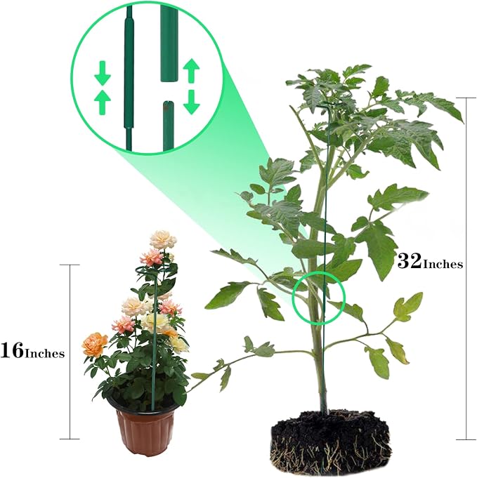 12 Pack Plant Stakes, Plant Support Stakes - Image 3